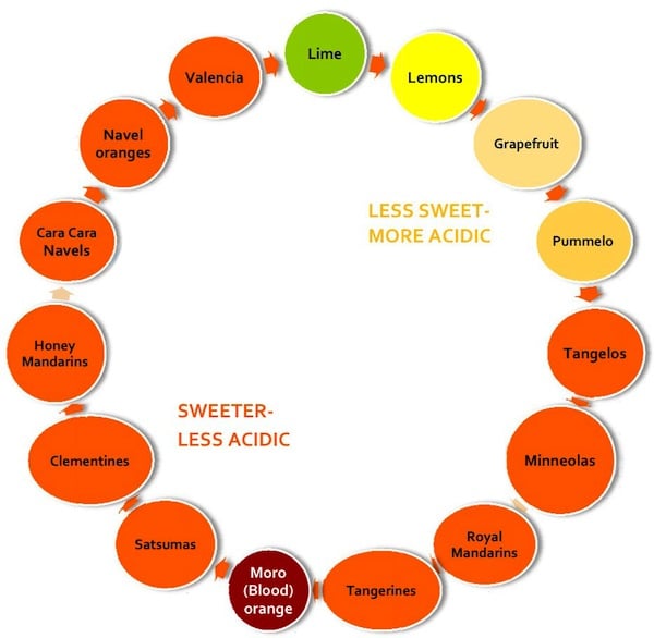 Citrus Variety Chart