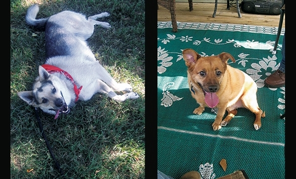 Want to see more smiling pets? Pick up a copy of our February 2010 issue, on stands January 21.