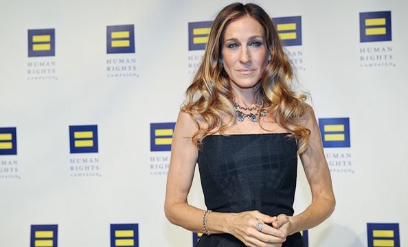 The 15th Annual Human Rights Campaign National Dinner