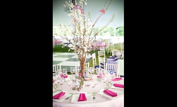 Real Weddings: Caitlin McNabb and Derek Cicheskie