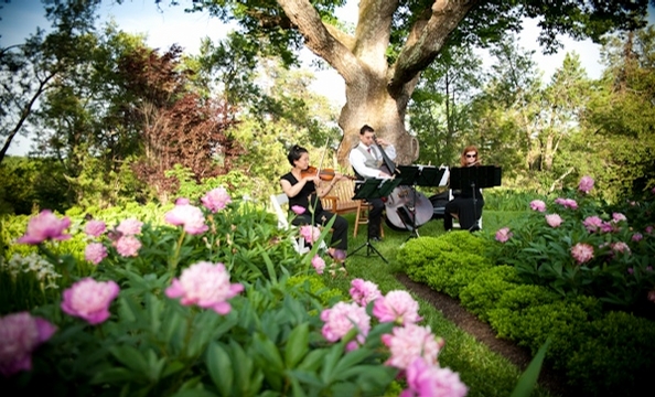 Real Weddings: Caitlin McNabb and Derek Cicheskie