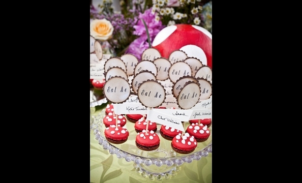 Real Weddings: Caitlin McNabb and Derek Cicheskie