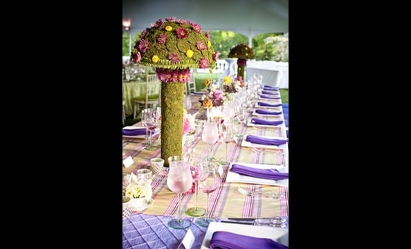 Real Weddings: Caitlin McNabb and Derek Cicheskie