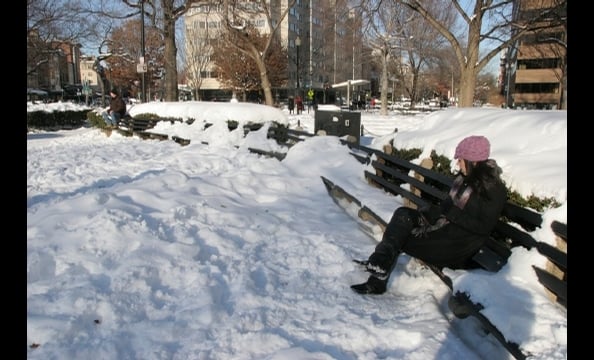 Taking a break on a snowy day