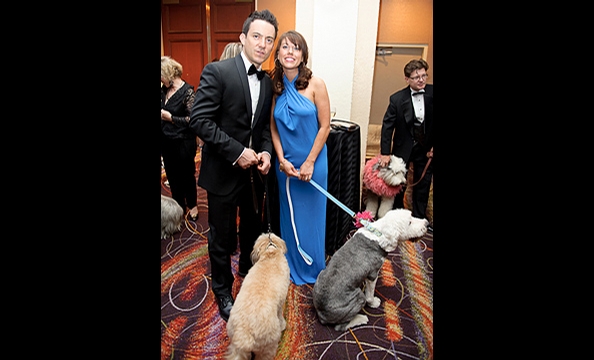 Bark Ball 2011