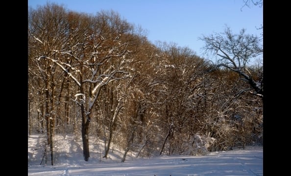 Readers' snow photos