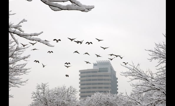 Readers' Snow Photos