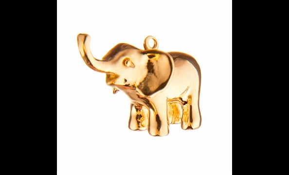 Even though it works to protect African wildlife, including elephants in their natural habitats, the African Wildlife Foundation (awf.org) is still based in DC, $115 for silver, $145 for gold.