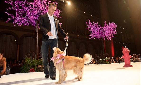 Fashion for Paws 2011