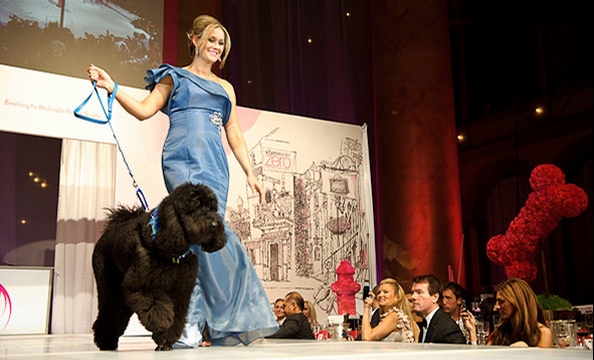 Fashion For Paws 2011