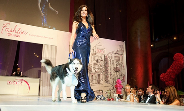 Fashion For Paws 2011