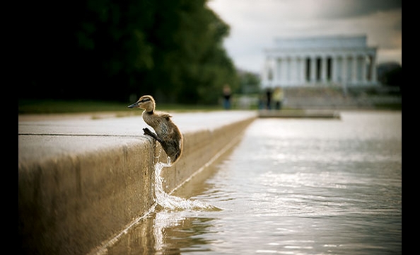 Our Favorite Shots from FotoWeek DC 2010