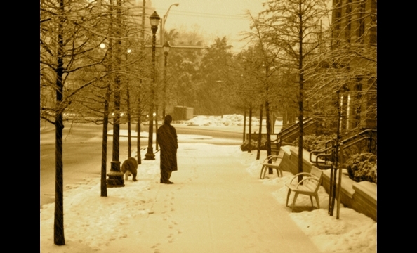 Village at Shirlington in Arlington