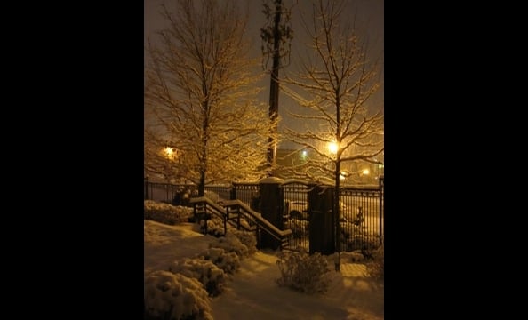 Readers' Snow Photos