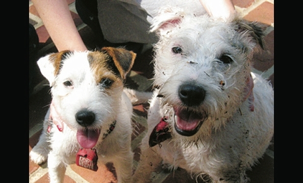 Want to see more smiling pets? Pick up a copy of our February 2010 issue, on stands January 21.