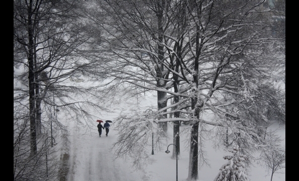 Readers' snow photos