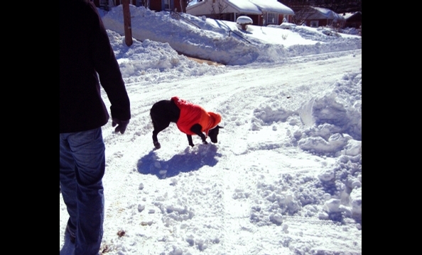 Readers' snow photos