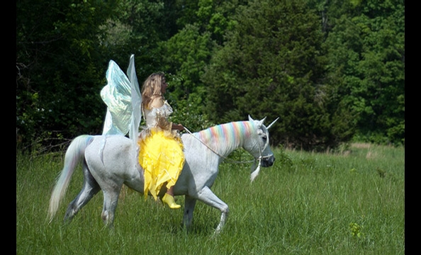 Maryland Faerie Festival