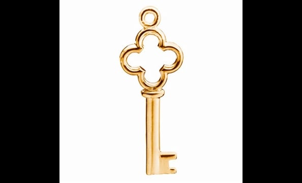 Help give girls the key to understanding the role of women in US history. This charm supports efforts to build a National Women’s History Museum (nwhm.org) in the District, $75 for silver, $95 for gold.
