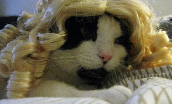 Here's Goldilocks . . . er, Mr. Pink.