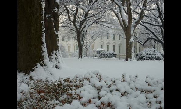 Readers' Snow Photos