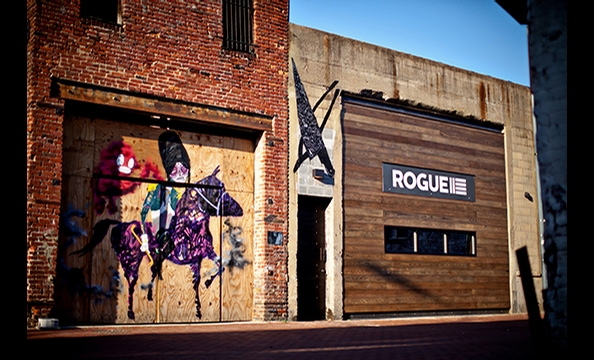 Rogue 24