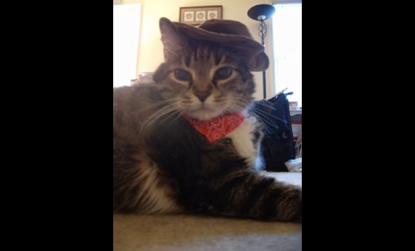 Howard the fat cat says, "Howdy, partner."