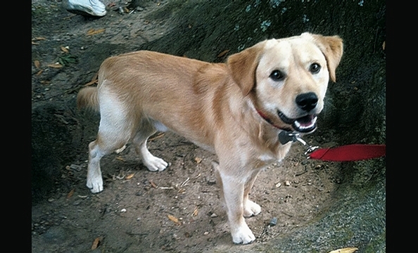 Want to see more smiling pets? Pick up a copy of our February 2010 issue, on stands January 21.