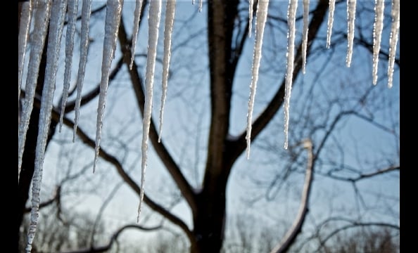 Readers' Snow Photos