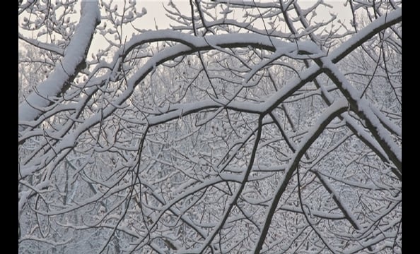 Readers' Snow Photos