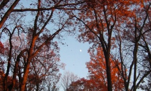 This was taken at Shenandoah National Park.