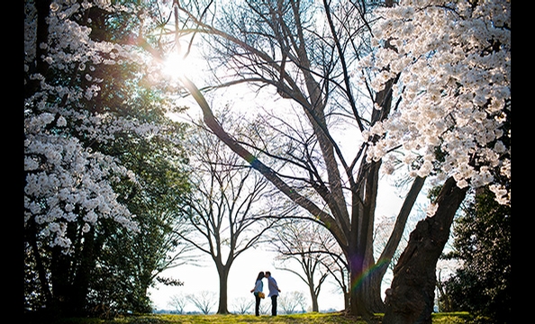 May Photo Contest Finalists (Give Us Your All)