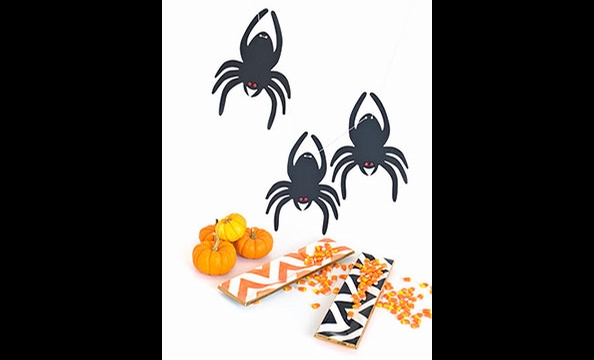 Available at jillrosenwald.com