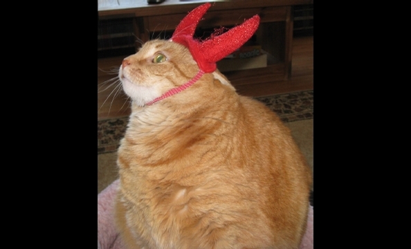 Oh that Frank—he's such a little devil.