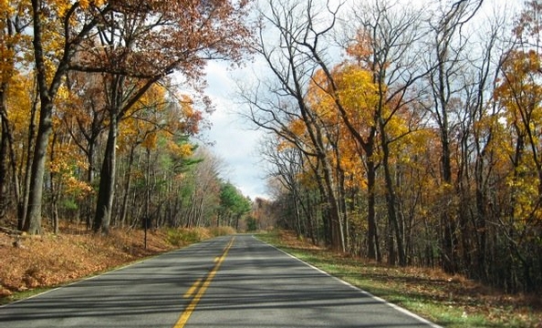 Even more from the park. Ahh, fall . . .