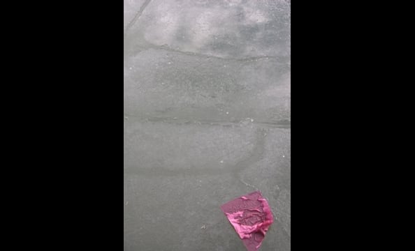 Writes the photographer, "I love the contrast between the pink piece of tissue paper—something light and airy—and the hard, broken ice." The photo was taken along the Alexandria waterfront last winter.