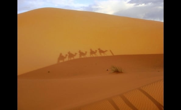 A State Department employee sent to Morocco, Aaron Edwards shot this photo during a camping excursion in the Sahara Desert. The photo shows the shadow of his group on camel back, cast on a nearby dune by the setting sun.