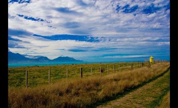 The photographer traveled to the town of Kaikoura on the southern island of New Zealand. She snapped this photo during a day trip to see nearby bluffs. 