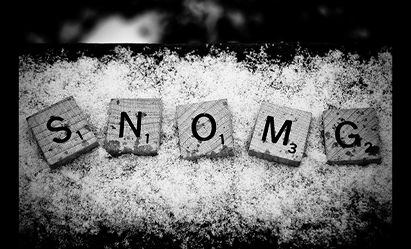 December 2010 Photo Contest: Snowmaggedon