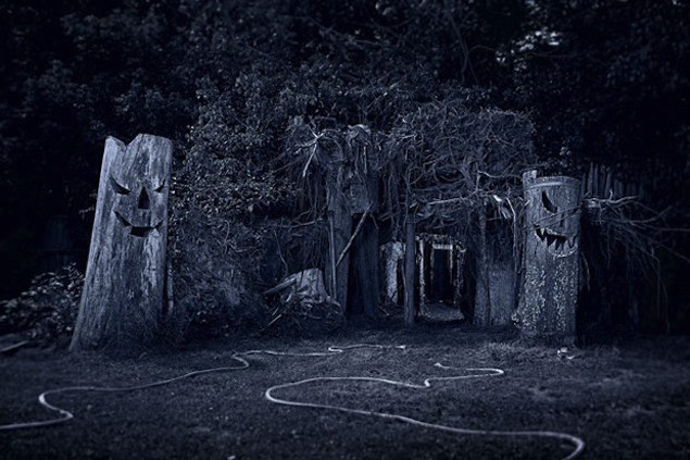 Markoff’s Haunted Forest. Photograph by Jeff Elkins.