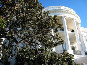 Highlights of the White House Fall Garden Tours