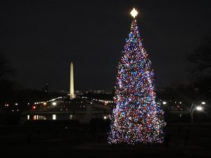 Holidays in Washington, DC: Tree Lightings, Ice Skating, Craft Fairs, and More