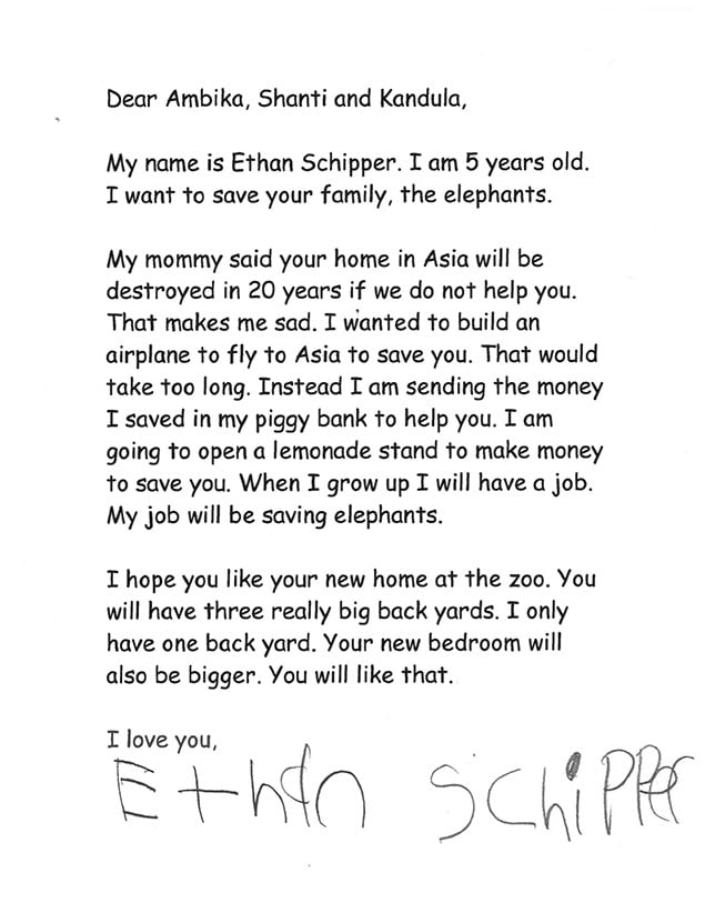 essay contest winner letter essay contest winner letter