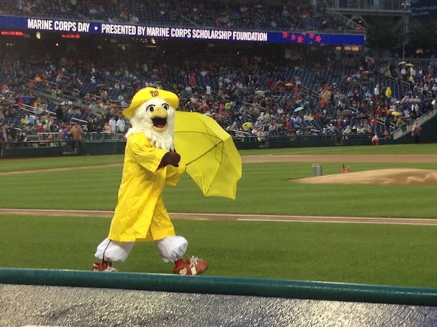 What to Wear in a Rain Delay: Just Ask Screech - Washingtonian