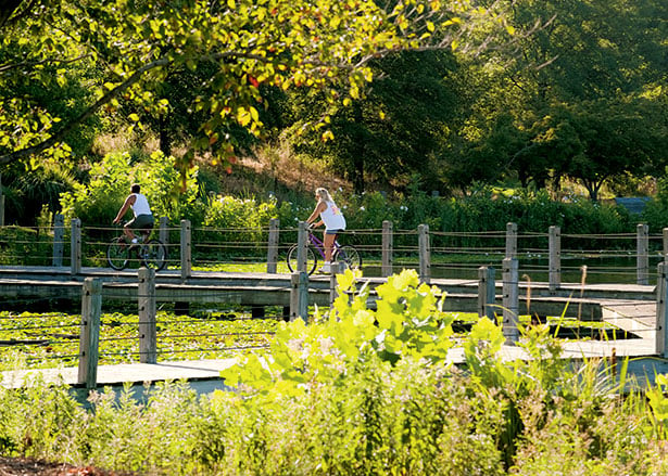 DC hike trails and DC bike trails. Anacostia Trails.