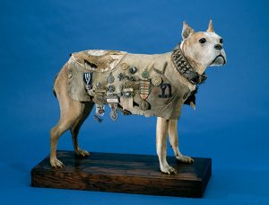 Treasures in the Smithsonian’s Attic