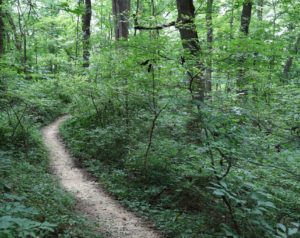 Find Peace at These 5 Parks