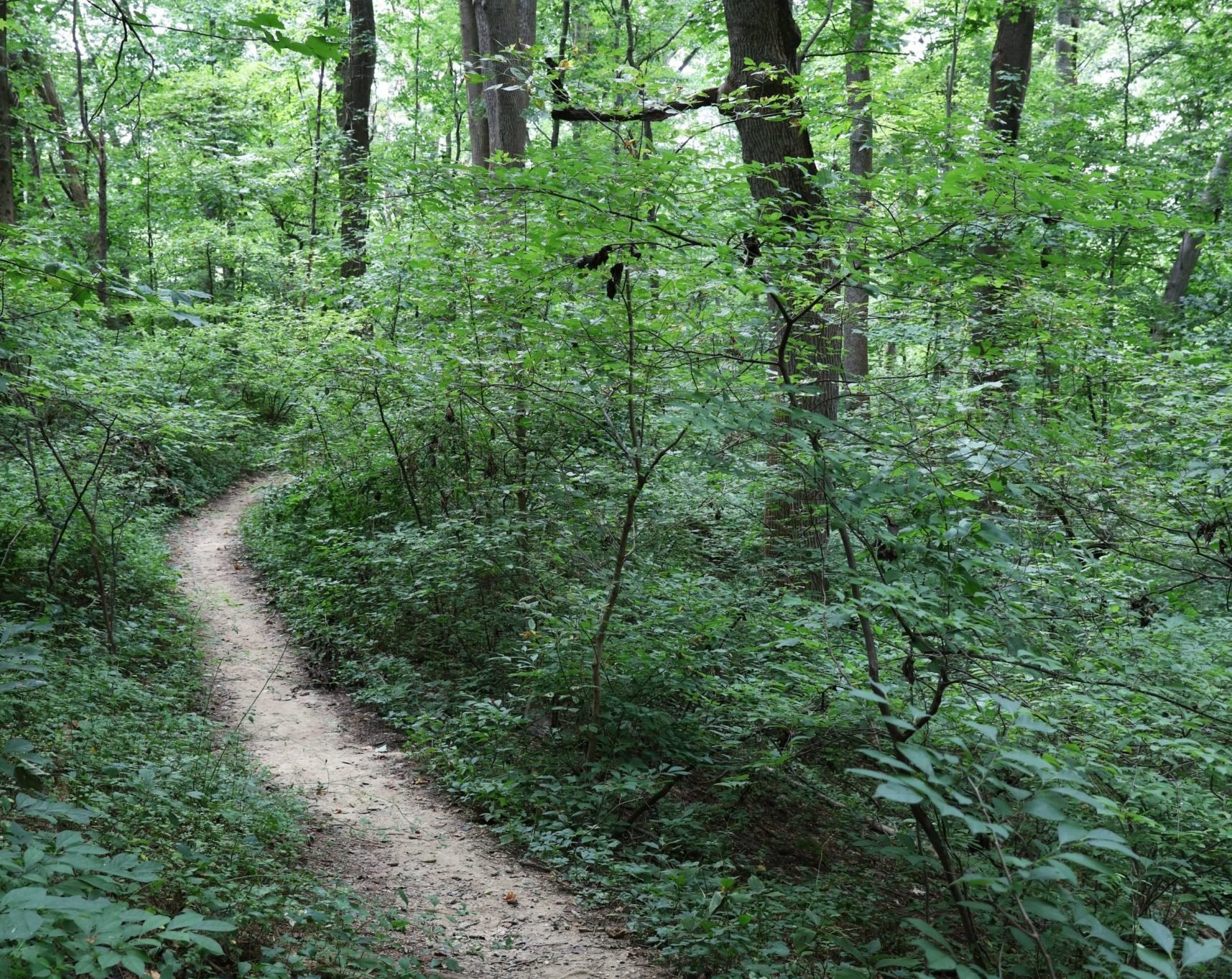 Arlington hiking trails. DC hiking. DC biking.