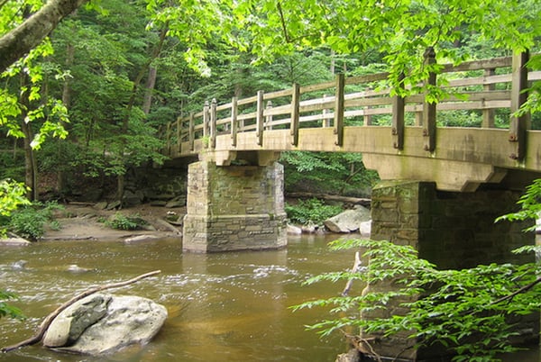 Favorite Running Trail: Rock Creek Park trails