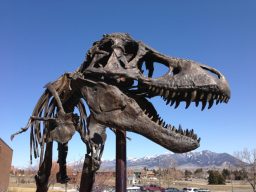 smithsonian tyrannosaurus rex